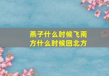 燕子什么时候飞南方什么时候回北方