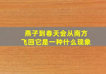 燕子到春天会从南方飞回它是一种什么现象