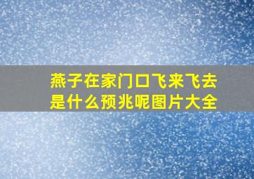 燕子在家门口飞来飞去是什么预兆呢图片大全