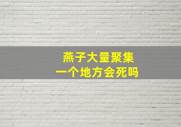 燕子大量聚集一个地方会死吗