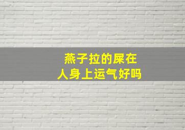 燕子拉的屎在人身上运气好吗