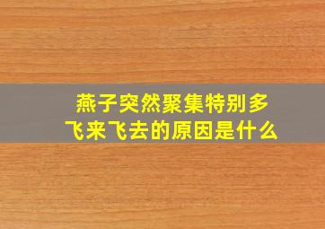 燕子突然聚集特别多飞来飞去的原因是什么