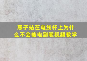 燕子站在电线杆上为什么不会被电到呢视频教学