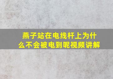 燕子站在电线杆上为什么不会被电到呢视频讲解