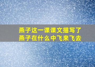 燕子这一课课文描写了燕子在什么中飞来飞去