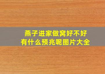 燕子进家做窝好不好有什么预兆呢图片大全