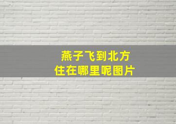 燕子飞到北方住在哪里呢图片