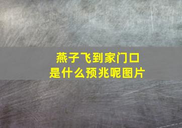 燕子飞到家门口是什么预兆呢图片