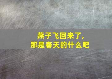 燕子飞回来了,那是春天的什么吧