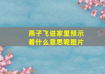 燕子飞进家里预示着什么意思呢图片