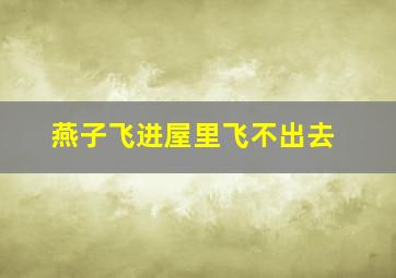 燕子飞进屋里飞不出去