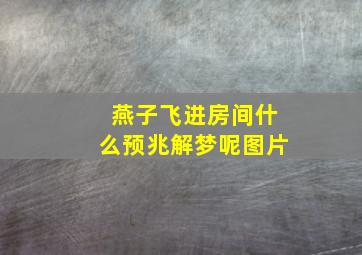 燕子飞进房间什么预兆解梦呢图片