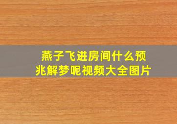 燕子飞进房间什么预兆解梦呢视频大全图片