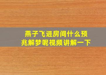 燕子飞进房间什么预兆解梦呢视频讲解一下