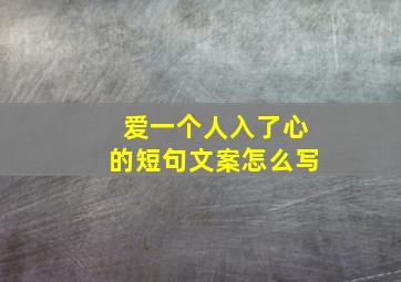 爱一个人入了心的短句文案怎么写