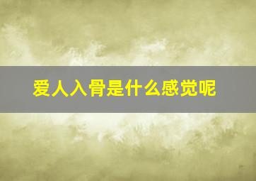 爱人入骨是什么感觉呢