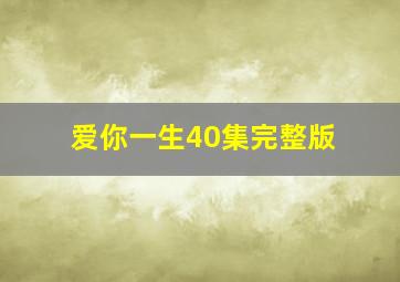 爱你一生40集完整版