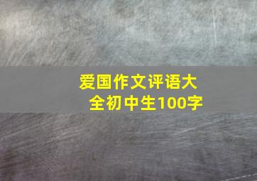 爱国作文评语大全初中生100字