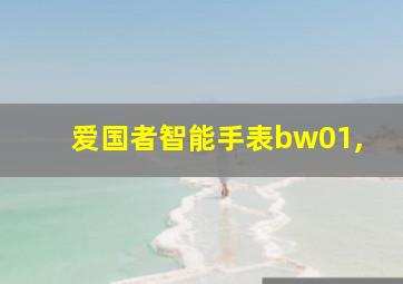 爱国者智能手表bw01,