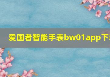 爱国者智能手表bw01app下载