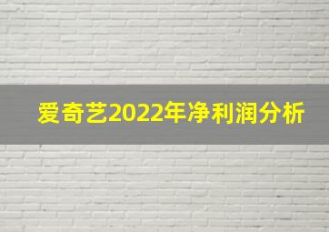 爱奇艺2022年净利润分析