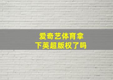 爱奇艺体育拿下英超版权了吗