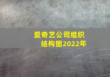 爱奇艺公司组织结构图2022年