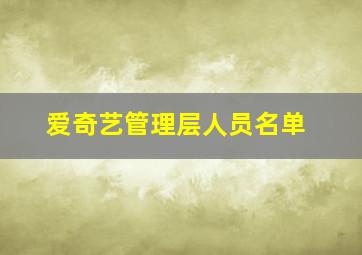 爱奇艺管理层人员名单