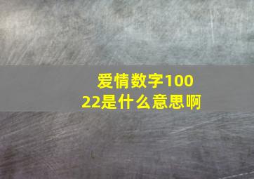 爱情数字10022是什么意思啊