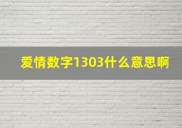 爱情数字1303什么意思啊