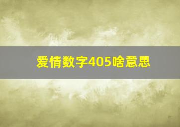 爱情数字405啥意思