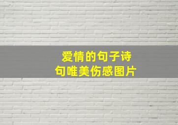 爱情的句子诗句唯美伤感图片