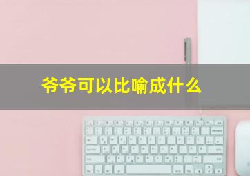 爷爷可以比喻成什么