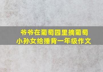 爷爷在葡萄园里摘葡萄小孙女给捶背一年级作文