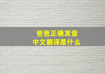 爸爸正确发音中文翻译是什么