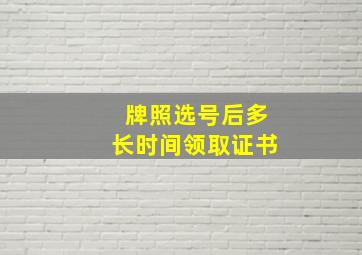 牌照选号后多长时间领取证书