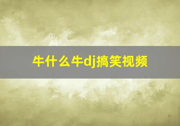 牛什么牛dj搞笑视频