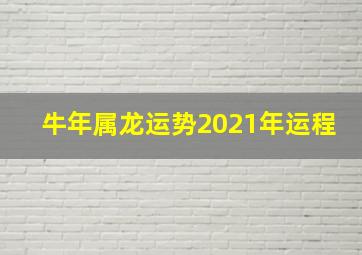 牛年属龙运势2021年运程