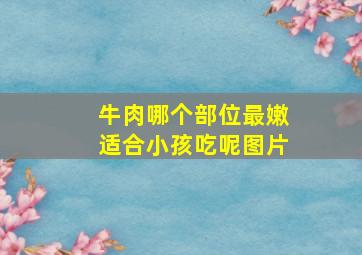 牛肉哪个部位最嫩适合小孩吃呢图片