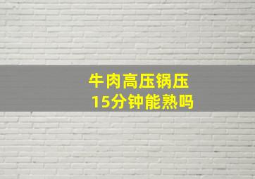 牛肉高压锅压15分钟能熟吗