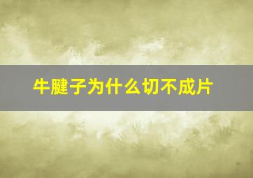 牛腱子为什么切不成片