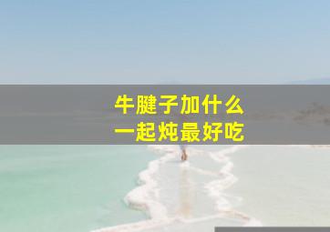 牛腱子加什么一起炖最好吃