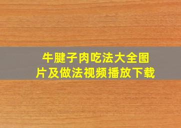 牛腱子肉吃法大全图片及做法视频播放下载