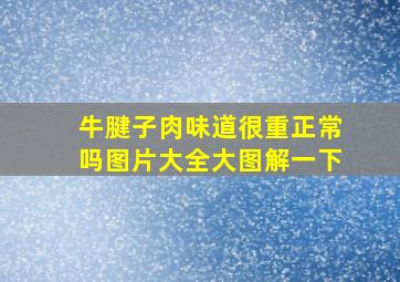 牛腱子肉味道很重正常吗图片大全大图解一下