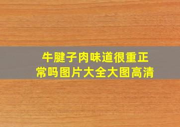 牛腱子肉味道很重正常吗图片大全大图高清