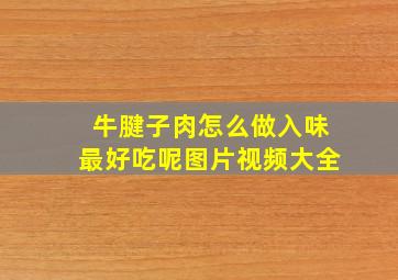 牛腱子肉怎么做入味最好吃呢图片视频大全