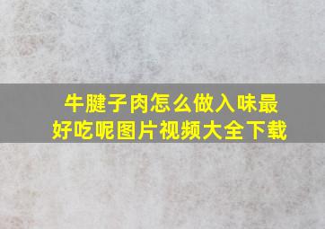 牛腱子肉怎么做入味最好吃呢图片视频大全下载