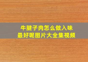 牛腱子肉怎么做入味最好呢图片大全集视频