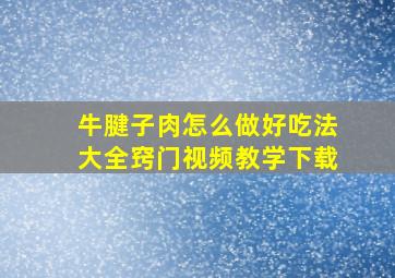 牛腱子肉怎么做好吃法大全窍门视频教学下载