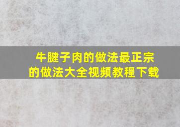 牛腱子肉的做法最正宗的做法大全视频教程下载